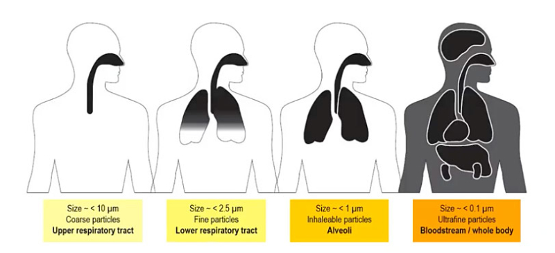 Particulate Matter and Your Health - Trenchless Innovations